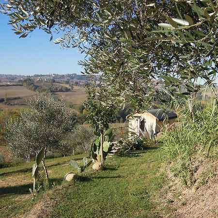 La Luna Nell'Orto-Casa Vacanza Ecologica E Agricoltura Biodinamica Barchi Εξωτερικό φωτογραφία
