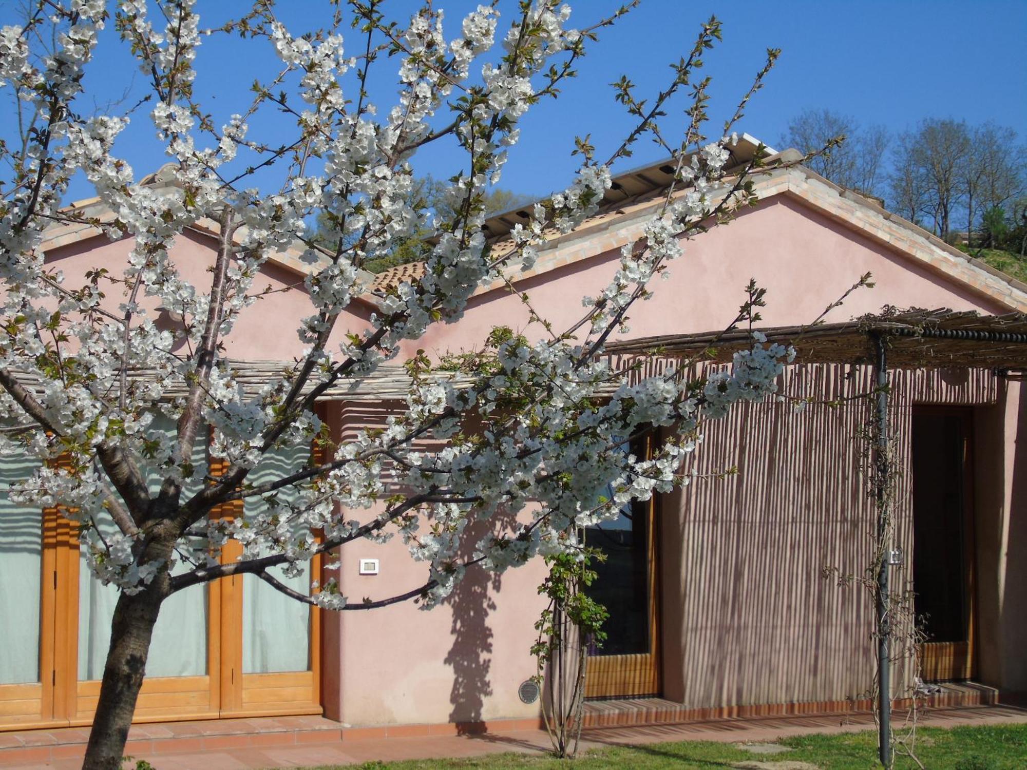 La Luna Nell'Orto-Casa Vacanza Ecologica E Agricoltura Biodinamica Barchi Εξωτερικό φωτογραφία