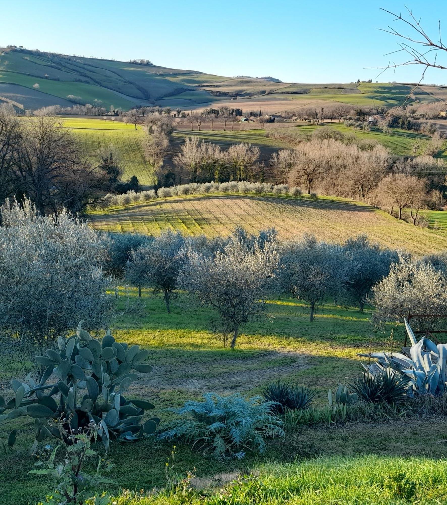 La Luna Nell'Orto-Casa Vacanza Ecologica E Agricoltura Biodinamica Barchi Εξωτερικό φωτογραφία